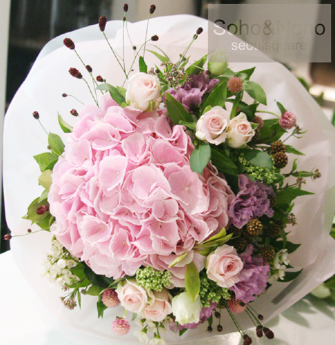 소호앤노호 부케(꽃다발) - 핑크 파스텔 수국(생일선물/전시회/기념일)