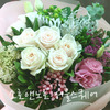 소호앤노호 부케(꽃다발) -  파스텔 핑크 (생일선물/축하다발)